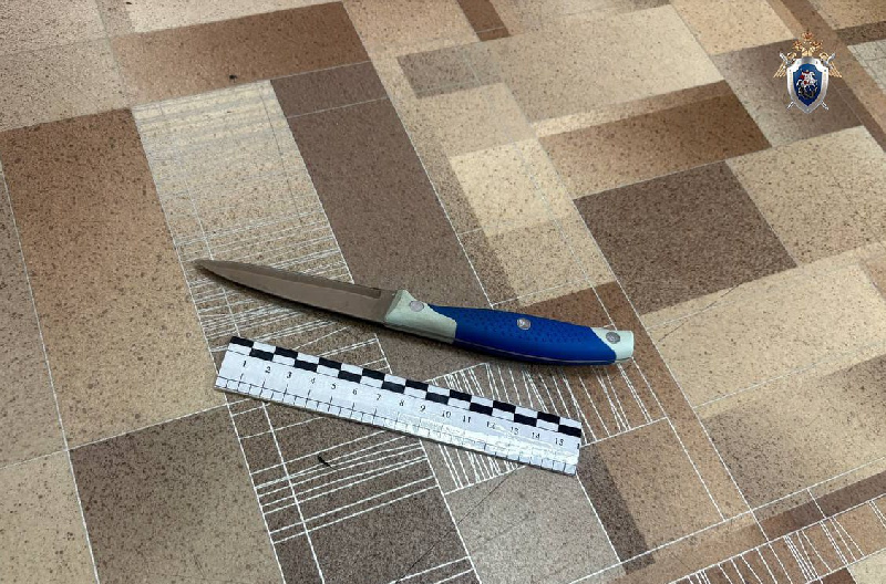 «Мать помешала»: амурчанин попытался зарезать 76-летнего отца - 2x2.su