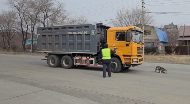 В Благовещенске сняли на видео, как водитель грузовика задавил собаку  - 2x2.su картинка 2