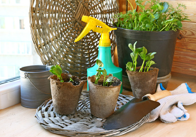 Делаем воздух в квартире свежим - 2x2.su