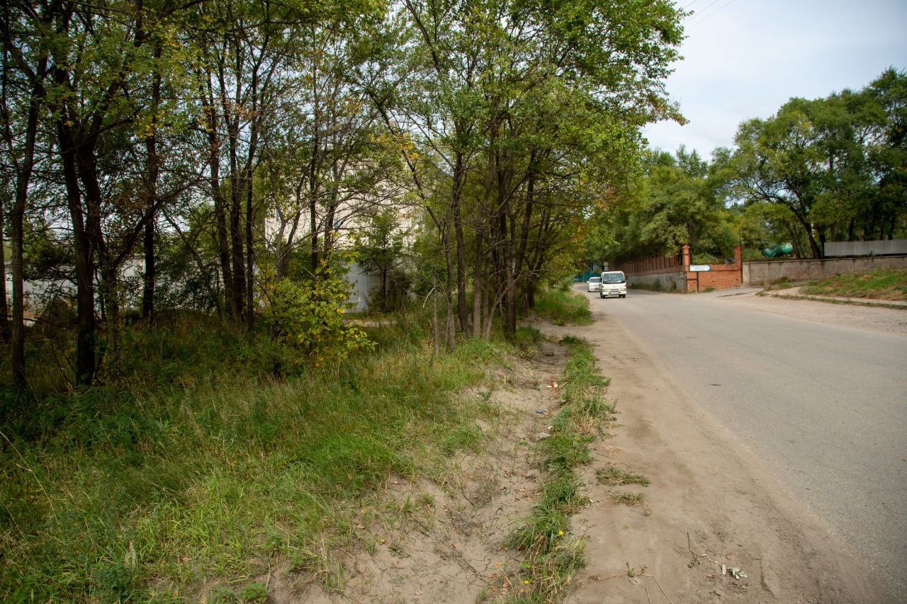 В Благовещенске жители КПП не могут добиться установки пешеходного перехода возле школы - 2x2.su картинка 3