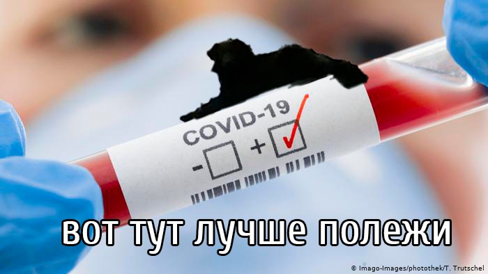«С нами Черныш»: в Свободном появилась живая достопримечательность  - 2x2.su картинка 9