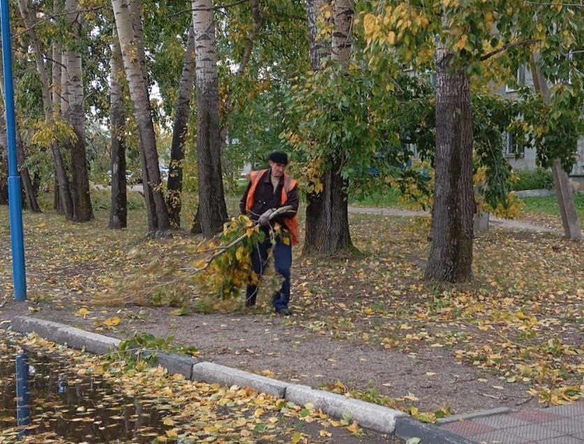 «Завалило ветками»: порывистый ветер похозяйничал по всей Амурской области - 2x2.su картинка 2