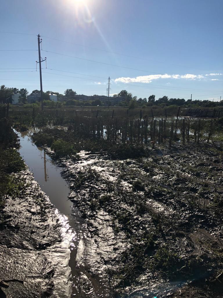 В сёлах Белогорского района вода зашла в дома и на приусадебные участки  - 2x2.su картинка 5