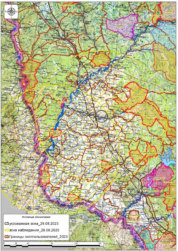 В очагах АЧС, выявленных в Приамурье, ввели полный запрет на охоту - 2x2.su картинка 4