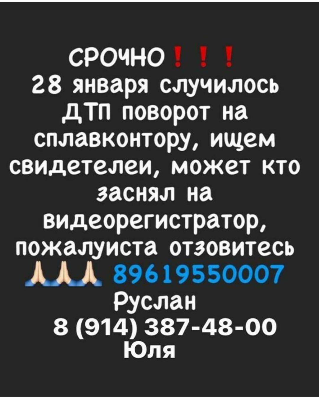 В Благовещенске ищут свидетелей аварии, в которой погибла зоозащитница - 2x2.su картинка 2