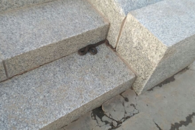По набережной Амура в Благовещенске ползала ядовитая змея - 2x2.su