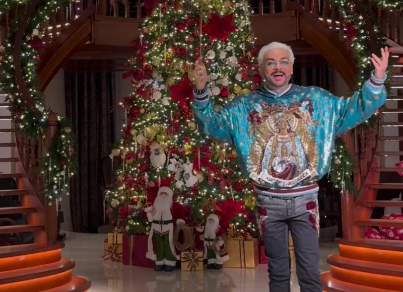 Ольга Бузова показала новогоднюю ёлку стоимостью 300 тысяч рублей - 2x2.su