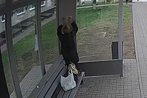 В Благовещенске на видео попала женщина, испортившая автобусную остановку