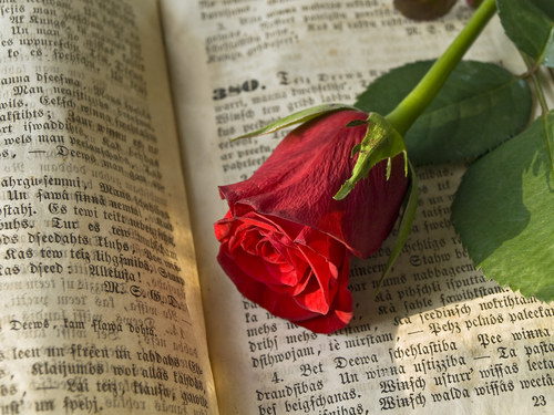 Гороскоп на 12 октября: Раков ждет романтическая встреча, а Рыб приятные новости - 2x2.su