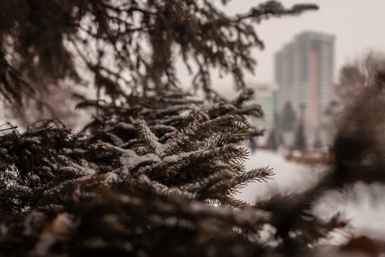 Снежный ноябрь в Благовещенске: фотогалерея портала 2х2.su - 2x2.su картинка 2