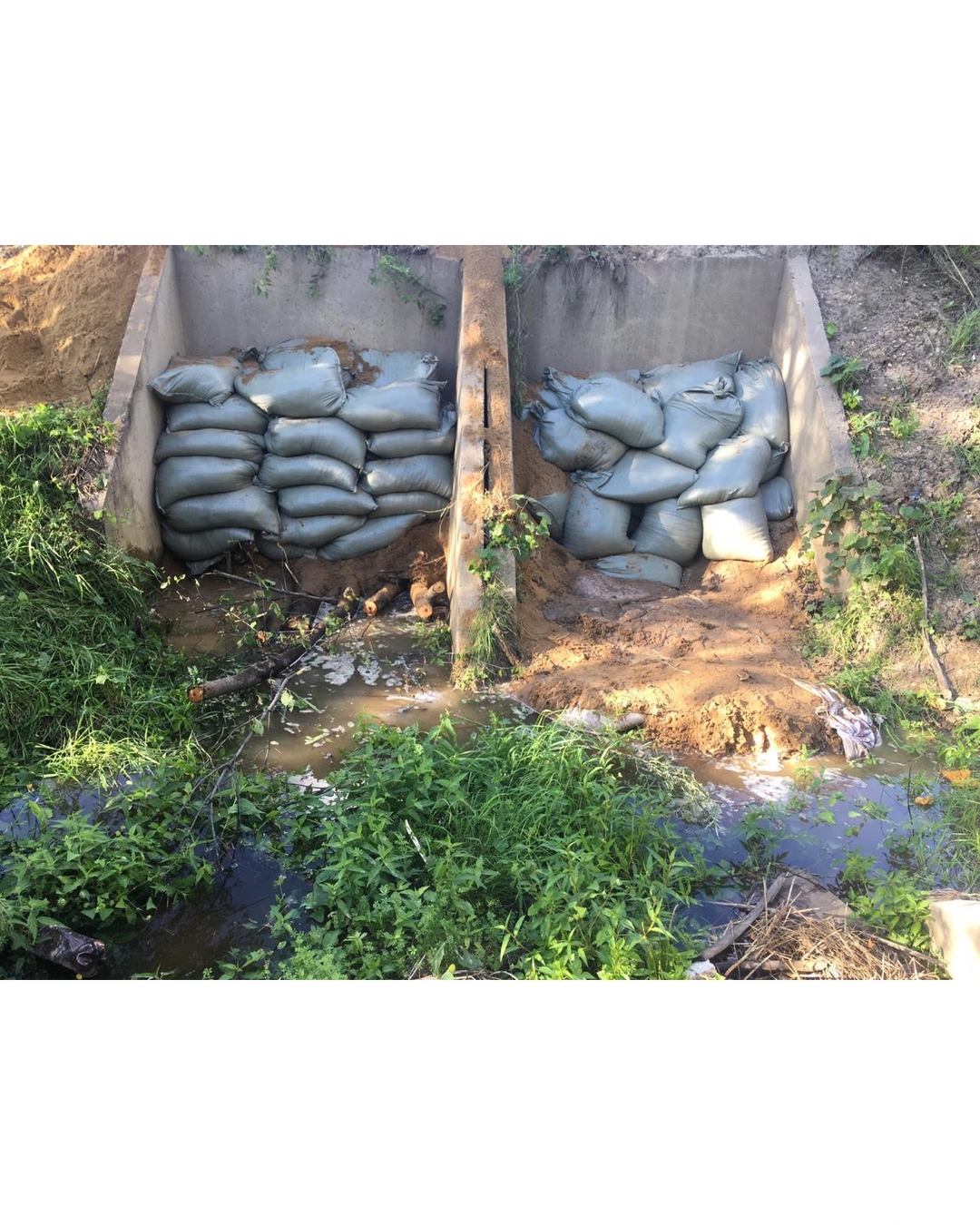  22 см за 12 часов: уровень Амура продолжает подниматься - 2x2.su картинка 5