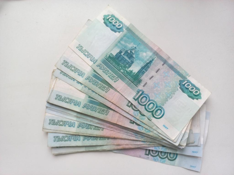 В Райчихинске наказали 11 полицейских, которые умолчали о своих доходах и имуществе