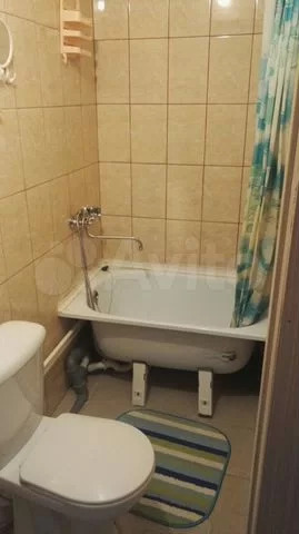 «Трёшка за 35 миллионов»: сколько стоят квартиры в Благовещенске?  - 2x2.su картинка 8