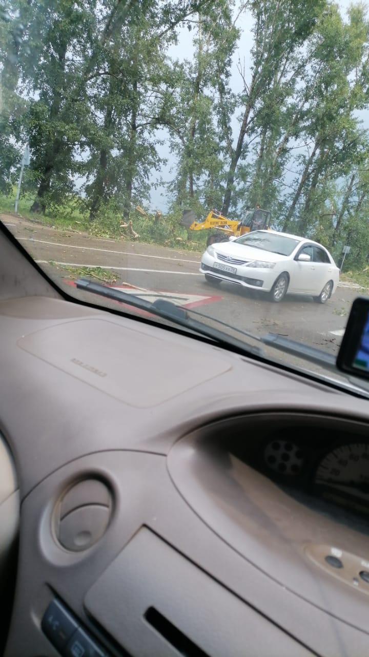 За Благовещенском во время грозы тополя повалило прямо на трассу, деревья оборвали провода - 2x2.su картинка 11