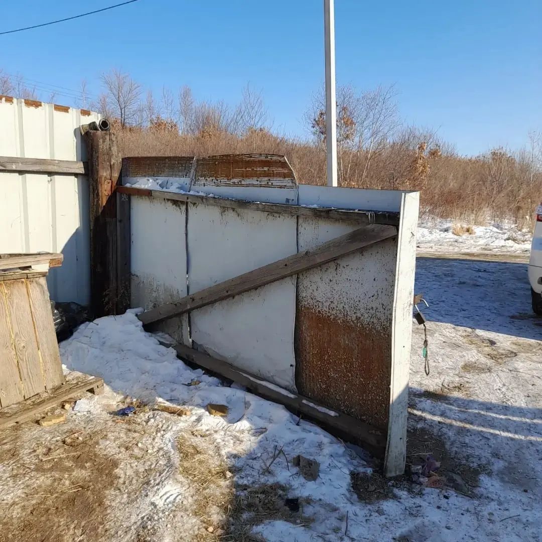 Волонтёры Благовещенска просят помочь деньгами и материалами в ремонте приюта для собак - 2x2.su картинка 3