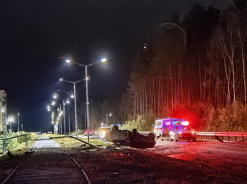 В Циолковском легковушка снесла несколько опор освещения - 2x2.su