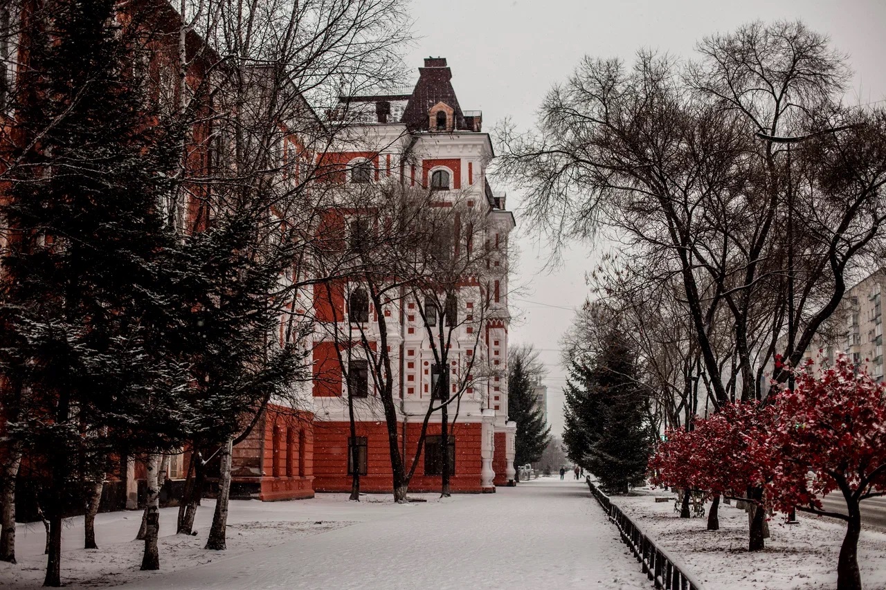 Снежный ноябрь в Благовещенске: фотогалерея портала 2х2.su - 2x2.su картинка 5