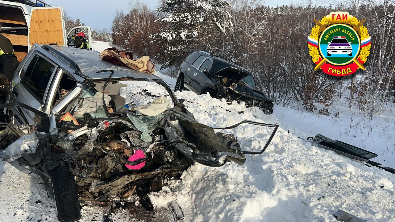 Страшное ДТП на трассе Благовещенск-Свободный: погибли 2 человек, 3 пострадали - 2x2.su картинка 2