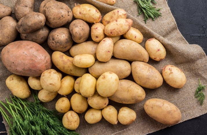 Не досажали: в Приамурье не выполнен план посева картофеля и овощей