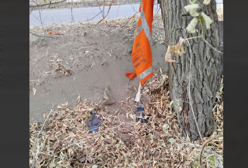 «Сильно покусали, разорвали одежду»: в Белогорске собаки напали на мужчину, который шел на работу - 2x2.su