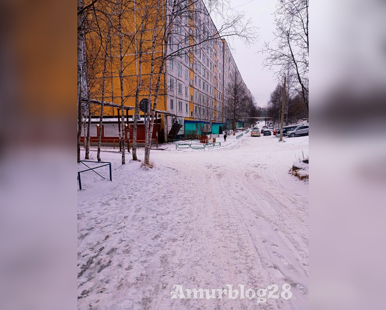 Амурчане делятся кадрами выпавшего снега и последствиями гололёда - 2x2.su картинка 4