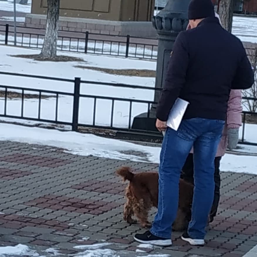 «Не в том месте»: в Благовещенске на набережной «ловили» собачников - 2x2.su картинка 3