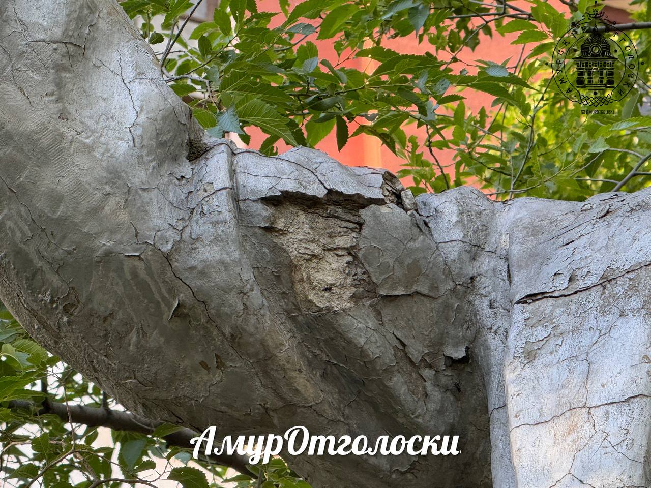 Благовещенцы жалуются на состояние памятника Ленину на ул. Горького - 2x2.su картинка 5