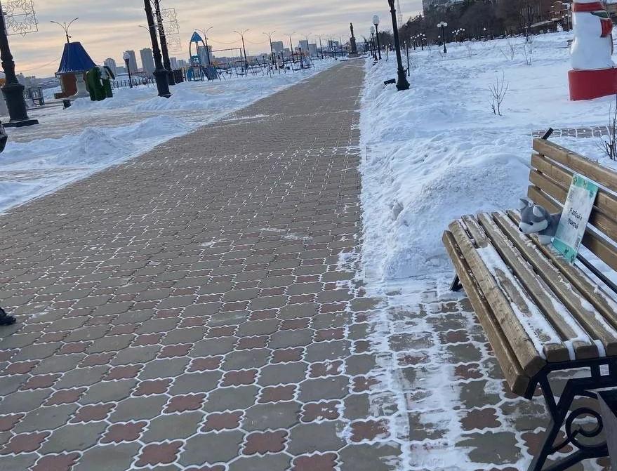 На улицах Благовещенска появились плюшевые собаки, которые помогают зооволонтёрам  - 2x2.su картинка 2