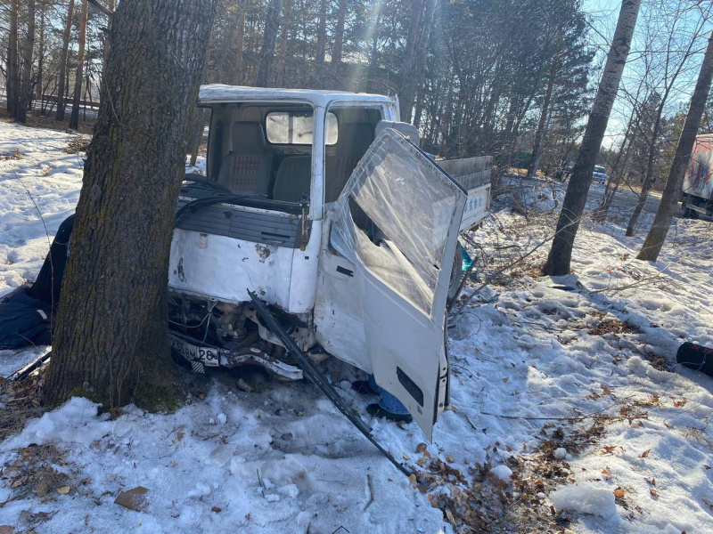 В Серышевском округе водитель грузовика врезался в дерево и погиб