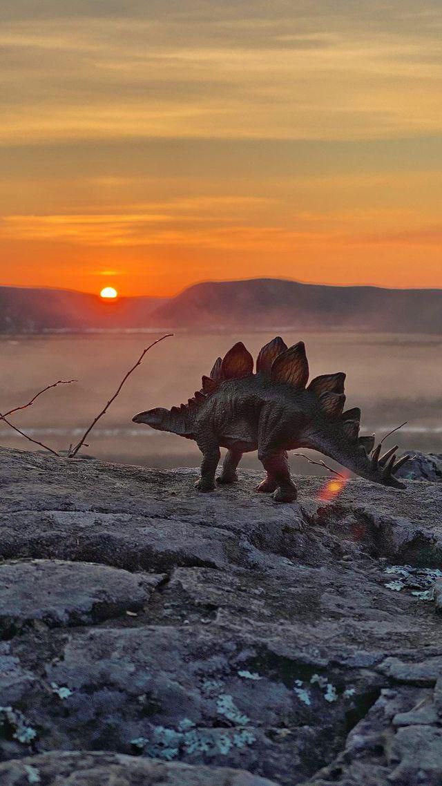 Амурчанка устроила фотосессию динозаврам на Михайловских столбах  - 2x2.su картинка 7