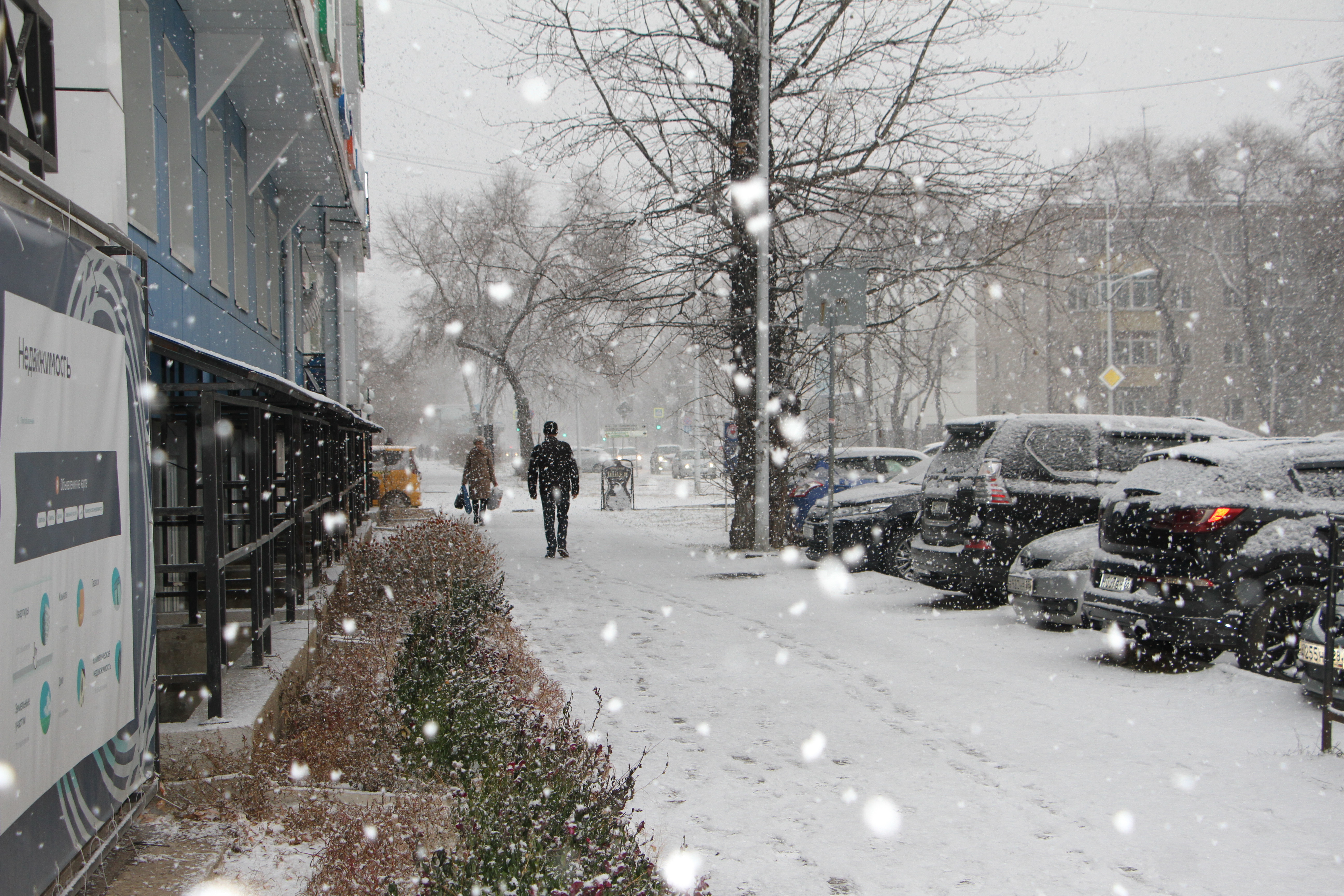 Погода в благовещенске на 10 дней точный. Снег. Снег на улице. Заснеженная улица. Ноябрь снег.