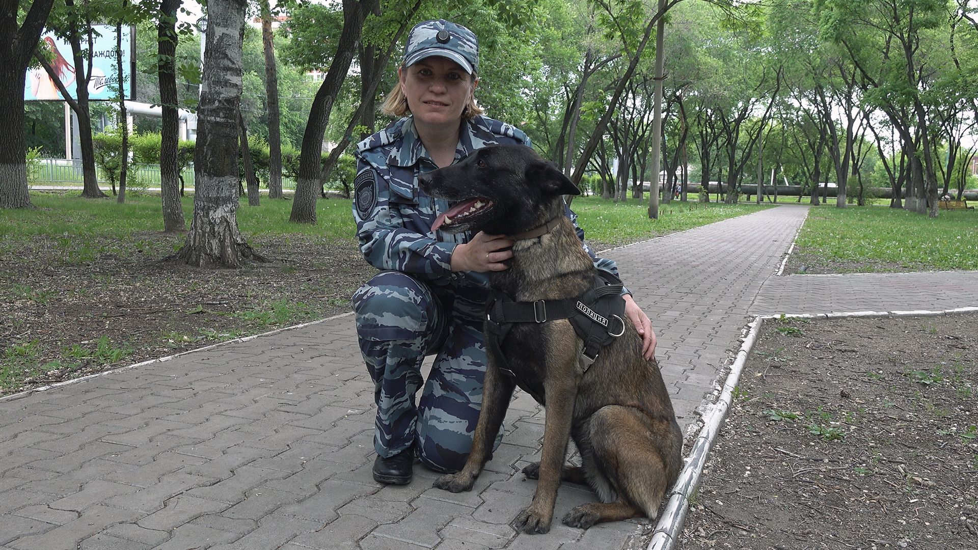 Амурская полиция рассказала, какие преступления помогают расследовать собаки  - 2x2.su картинка 2