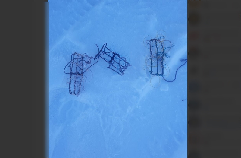 Хабаровчанин незаконно охотился на соколов в Белогорском округе - 2x2.su