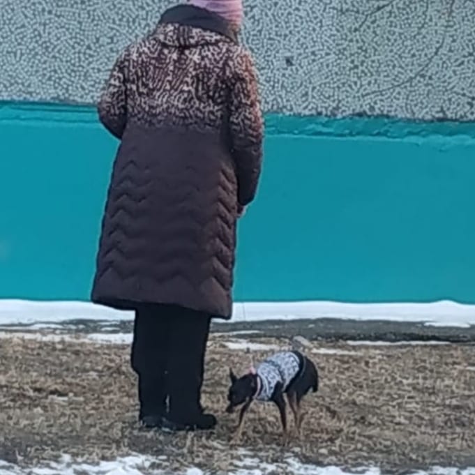 «Не в том месте»: в Благовещенске на набережной «ловили» собачников - 2x2.su картинка 6