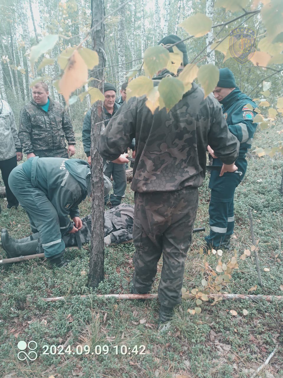 В Зейском районе нашли мужчину, который подвернул ногу в лесу - 2x2.su картинка 2