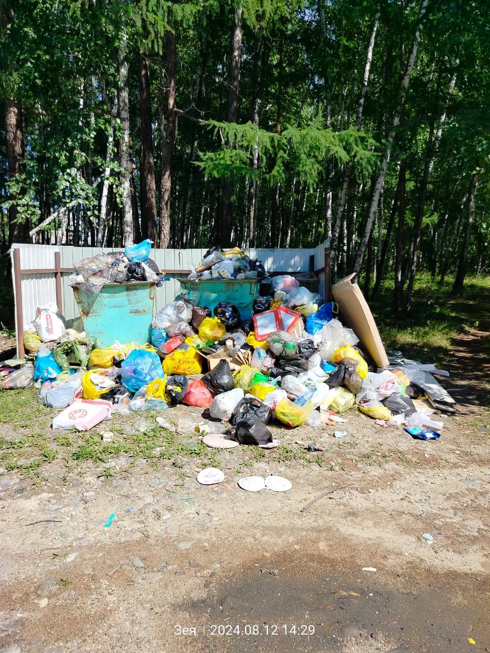 Амурчане пожаловались на переполненные мусорные контейнеры рядом с берегом Зеи - 2x2.su картинка 4