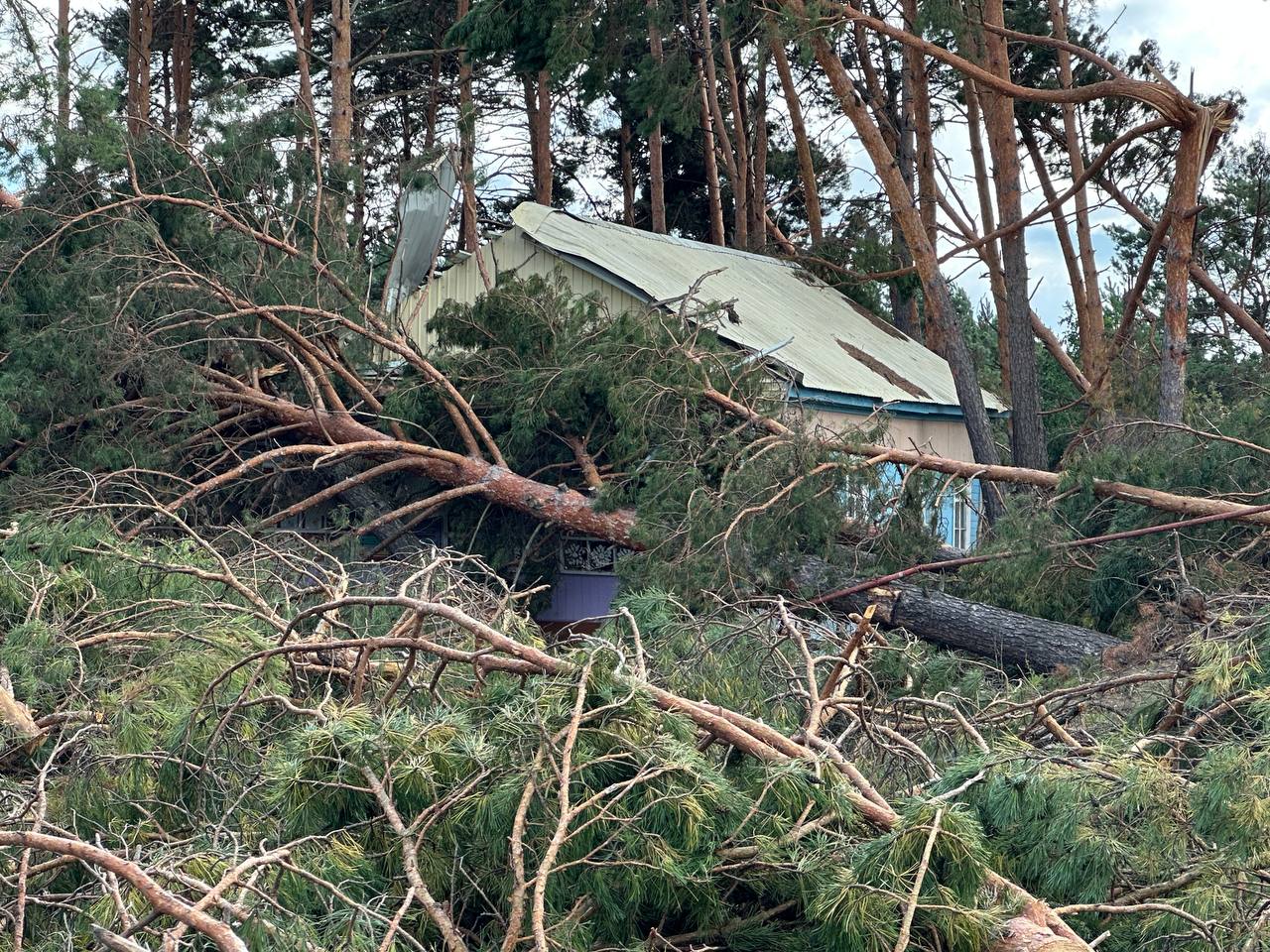 «Какое счастье, что закрыли»: мэр Белогорска показал разрушения от урагана в детском лагере  - 2x2.su картинка 4