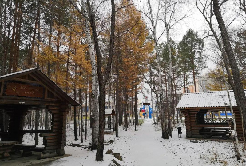 Октябрьский снег удивил жителей сразу нескольких городов Амурской области - 2x2.su