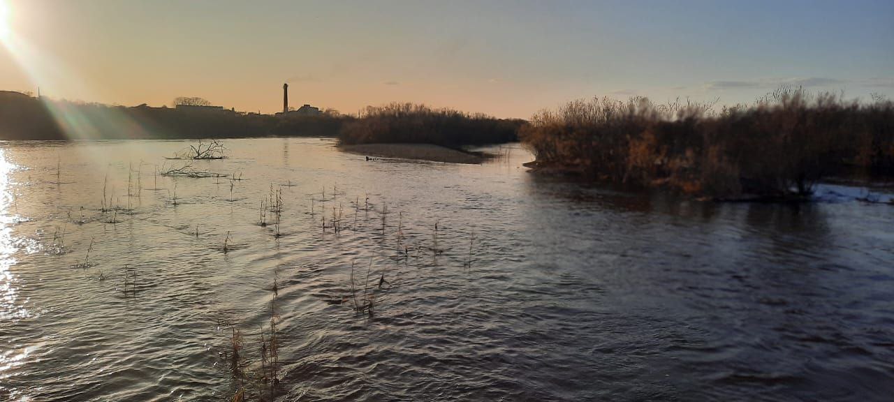 В Приамурье пропавшего подростка нашли мёртвым в реке - 2x2.su картинка 3