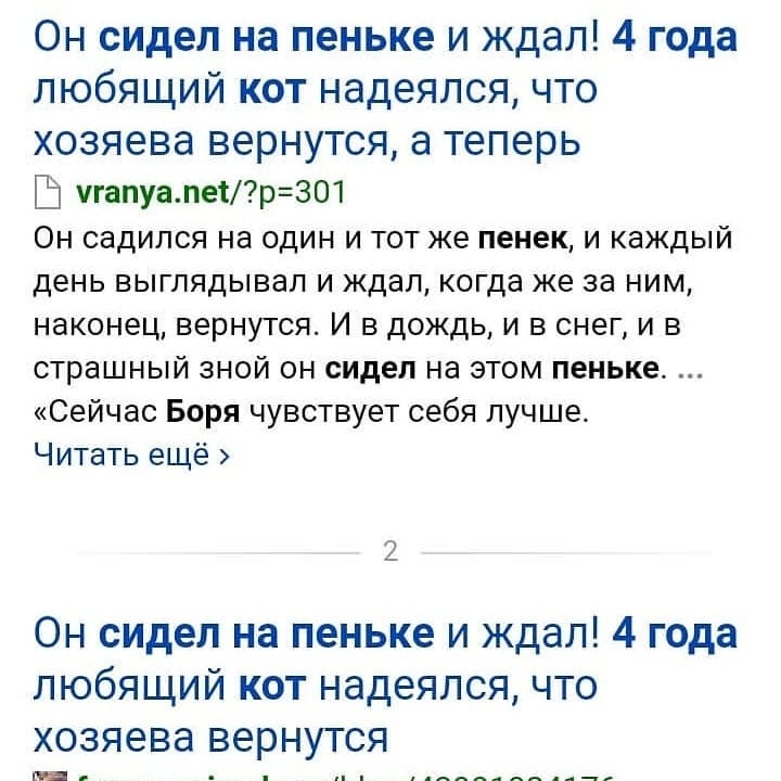 В Приамурье умер кот Борис, ждавший хозяев на пеньке четыре года - 2x2.su картинка 3