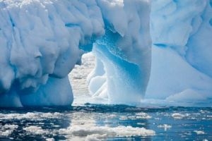 Ученые: древесный лес в Антарктиде уничтожили пожары - 2x2.su