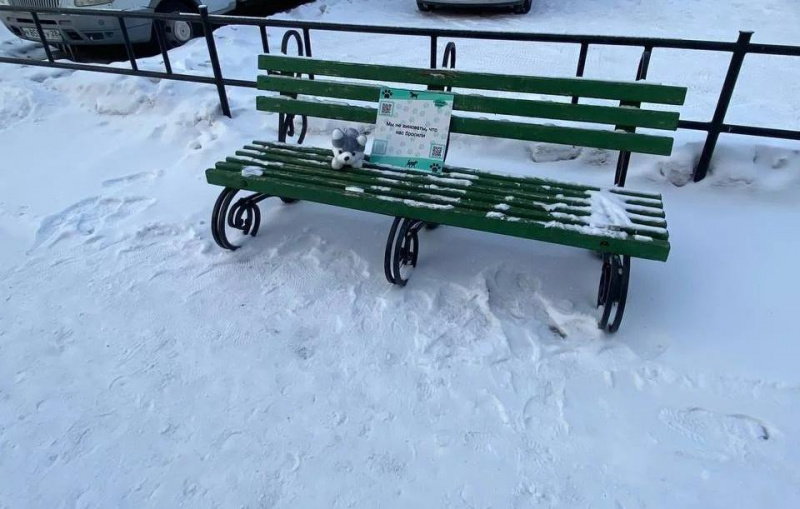 На улицах Благовещенска появились плюшевые собаки, которые помогают зооволонтёрам  - 2x2.su