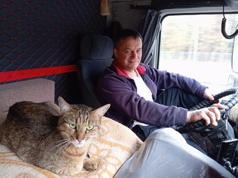 В Тынде спасли кота, который 6 дней путешествовал, спрятавшись, в поезде - 2x2.su