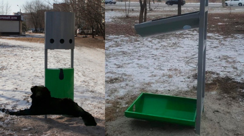 «С нами Черныш»: в Свободном появилась живая достопримечательность  - 2x2.su картинка 10