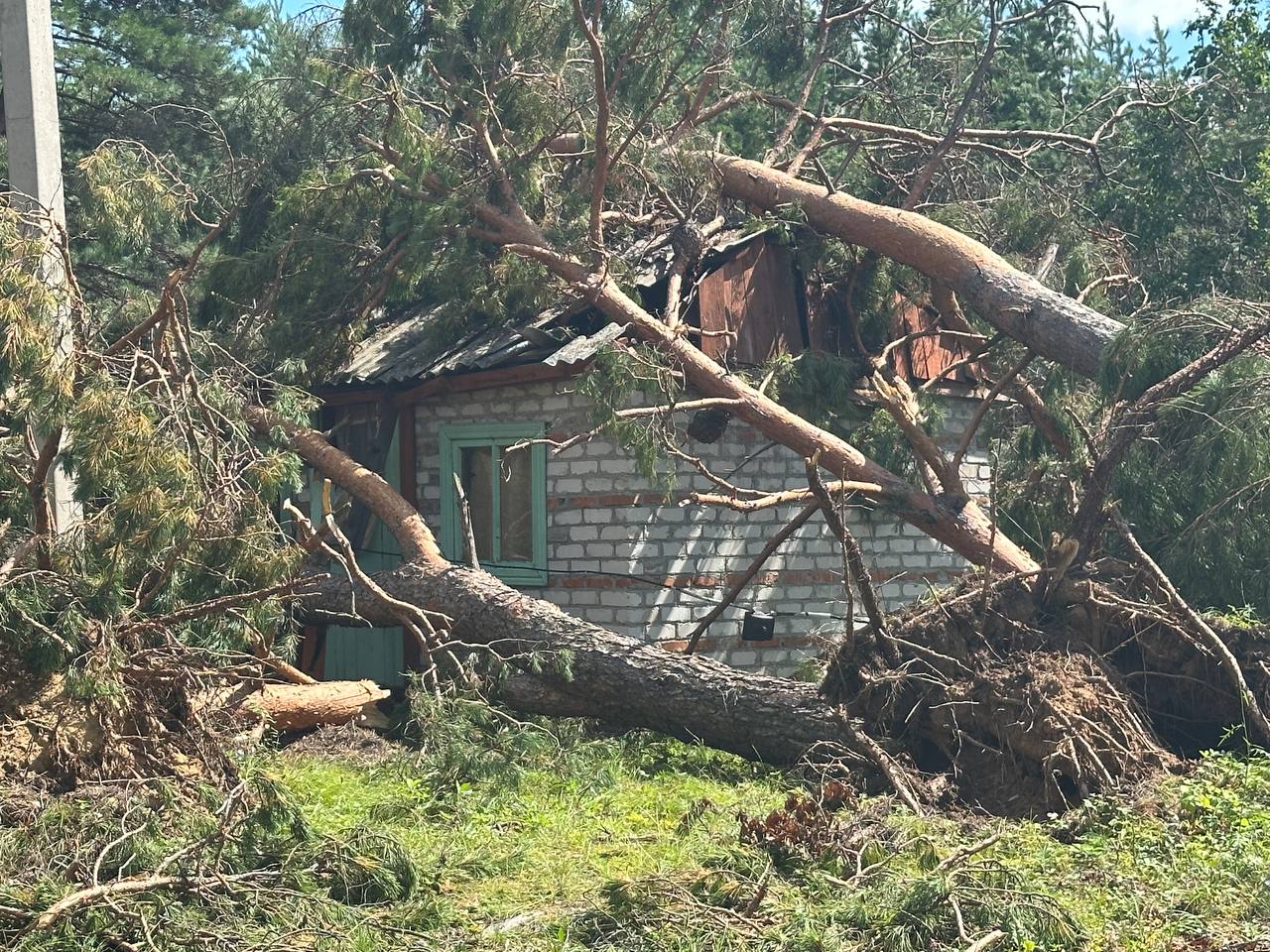 «Какое счастье, что закрыли»: мэр Белогорска показал разрушения от урагана в детском лагере  - 2x2.su картинка 2
