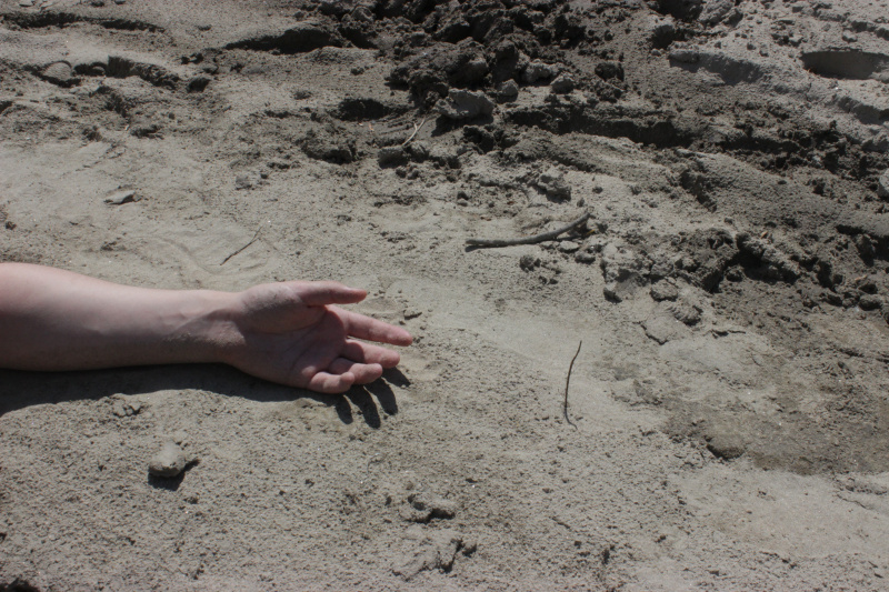 Благовещенцев просят опознать тело женщины, которое нашли на базе отдыха - 2x2.su