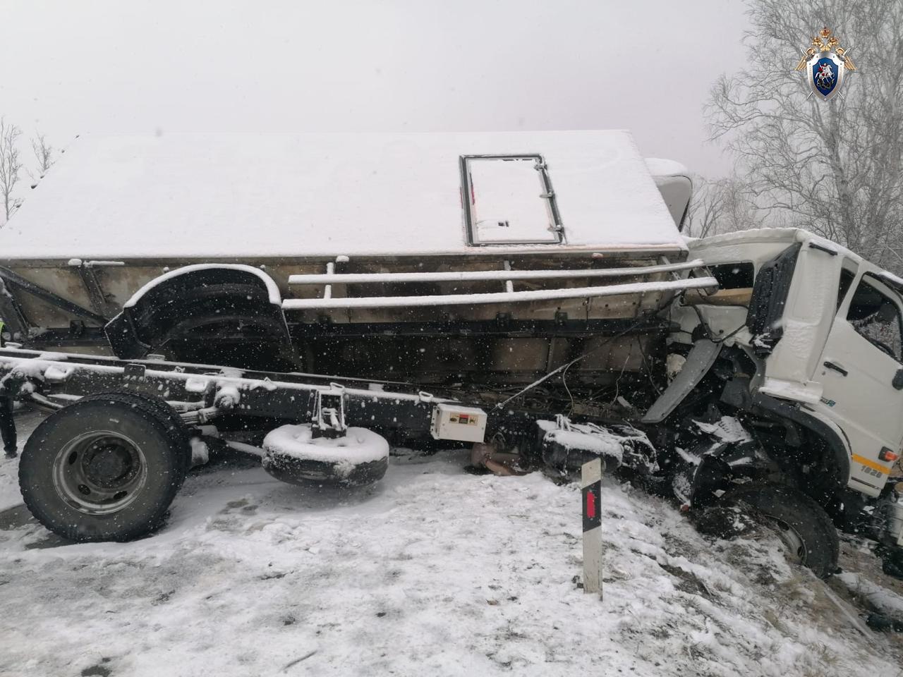 По факту ДТП на дороге «Благовещенск-Белогорск» возбуждено уголовное дело  - 2x2.su картинка 2