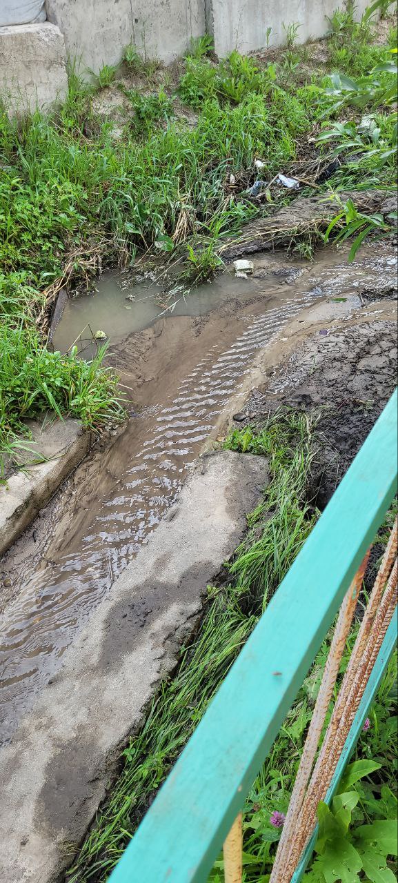 Всё в воде: участки жителей Чигирей тонут из-за проблем с водоотведением  - 2x2.su картинка 7