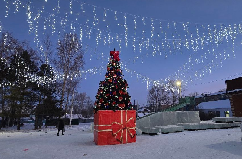 Вандалами в пгт Серышево, которые испортили новогоднюю ёлку на площади, оказались школьники - 2x2.su
