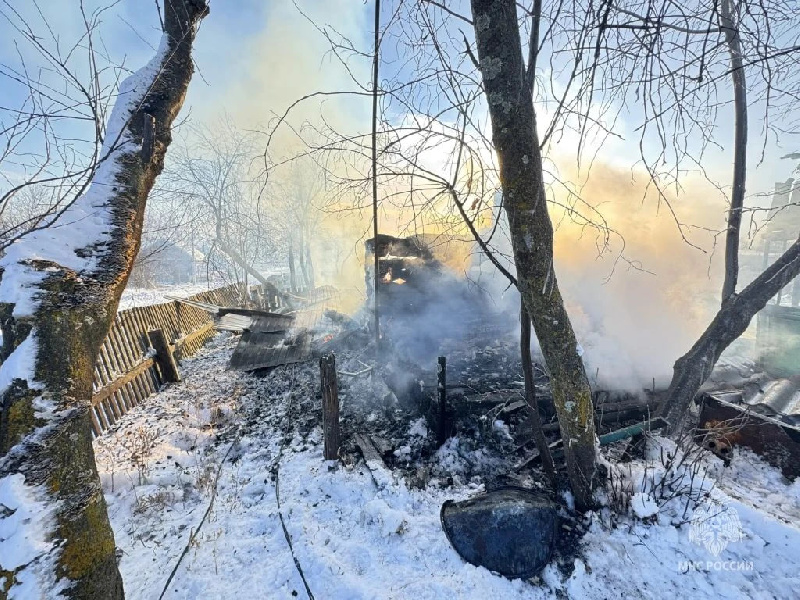 В Приамурье многодетную семью спас пожарный извещатель 